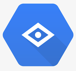 Google Vision Connector Integration